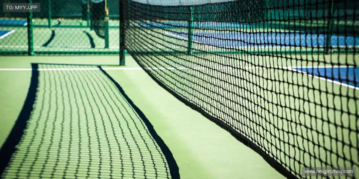 📱🏀 直播时刻,随时掌控!